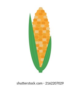corn ripe vector illustration flat style.