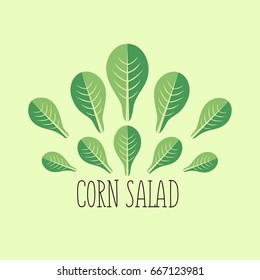 Corn salad leaf vegetable cartoon icon with light green background. Healthy vegetarian food, organic farming and salad recipe design