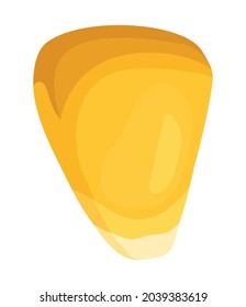 corn seed design over white