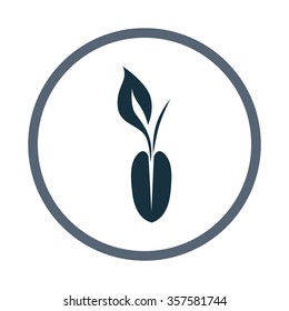 Corn seed icon