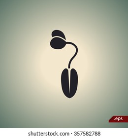 Corn seed icon