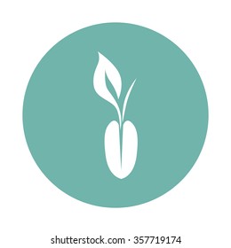 Corn seed icon