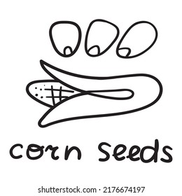 Corn seeds. Outline vector icon.