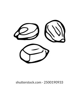 Corn seeds sketch. Outline vector icon.