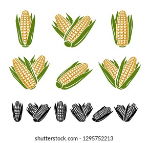 Corn set. Collection icon corn. Vector