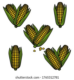 Corn set. Collection icon corn. Vector