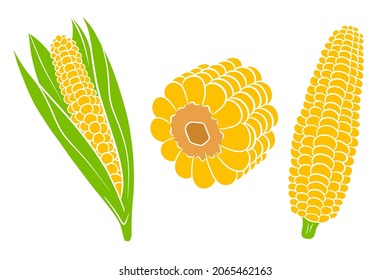 Corn set. Fresh corn cobs with and without leaves. In a cartoon style. Vector illustration for design and decoration.
