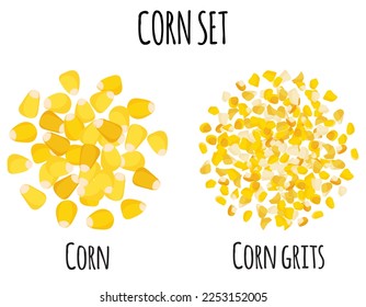 Corn set with grain and grits. Natural organic food collection. Vector cartoon isolated illustration.