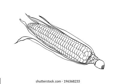 corn with simple lines