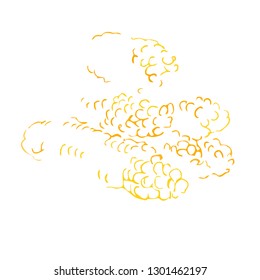 corn sketch design. Icon