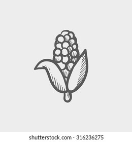 Corn sketch icon for web, mobile and infographics. Hand drawn vector dark grey icon isolated on light grey background.