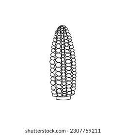 corn, sketch vector illustration, isolated on a white background. collection of vegetables