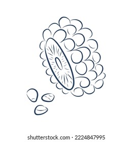 corn slice line icon. auxiliary elements for design