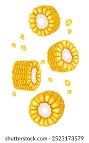 Corn sliced ​​and seed on white background. Vector eps 10.