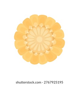 Corn sliced ​​on a white background. Corn slice. Healthy vegetables, natural product.