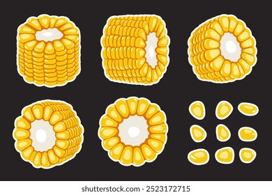 Corn slices and seeds on black background. Vector eps 10