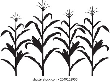 Corn stalk black and white vector design