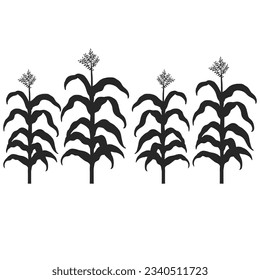 Corn stalk icon vector. Corn illustration sign. plant symbol. weeds logo.