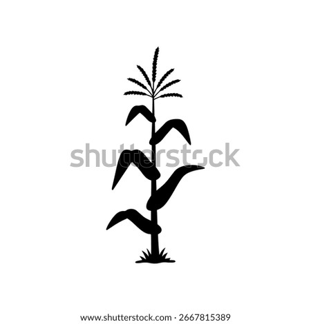 Corn stalk silhouette vector flat illustration design. Stock photo © 