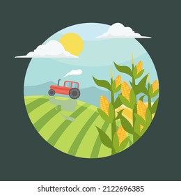 Corn stalks in field illustration