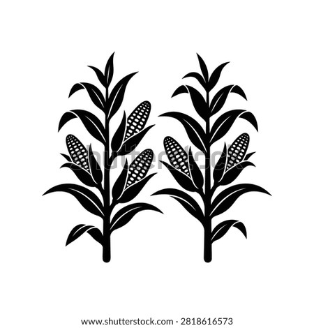 Corn stalks icon set. Black silhouette of maize plants for autumn harvest design.