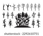 Corn Stalks vector For Print, Corn Stalks Clipart, Corn Stalks vector Illustration