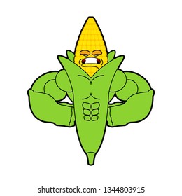 Corn Strong Cool serious. maize powerful strict. Cereals Vector illustration