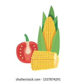 corn tomato fresh food vector illustration design