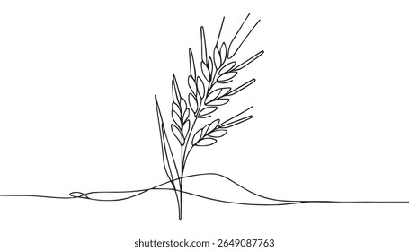 Corn tree drawing. It is a vector sketch line art drawing of a corn stalk with ears of corn, symbolizing agriculture and harvest. Vector sketch line art draw.