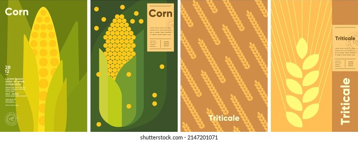 Corn. Triticale. Set of vector illustrations. Label design, price tag, cover design. Backgrounds and patterns. 