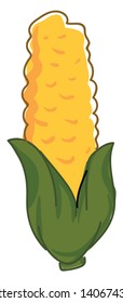 Corn is used to refer to crops such as wheat, maize, oat, and barley., vector, color drawing or illustration. 