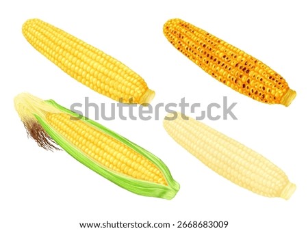 Corn Variations: Husk-on, Grilled Corn, White Corn