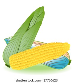 Corn - Vector