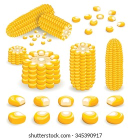 Corn Vector