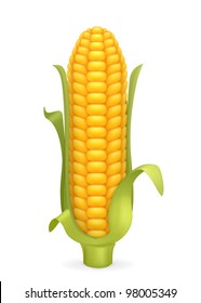 Corn, vector