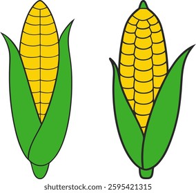Corn vector art, Hand drawn corn cob silhouette, Vector of corn cob art design