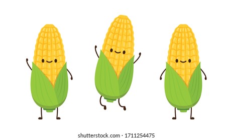 Corn vector. Corn character design. Corn on white background.