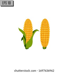 Corn vector design illustration isolated on white background