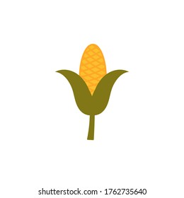 corn vector design template illustration