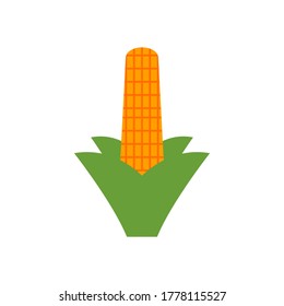 corn vector design template illustration