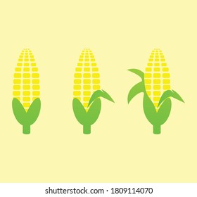 Corn vector design with three different leaf styles