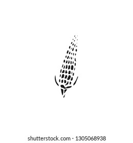 corn vector draw