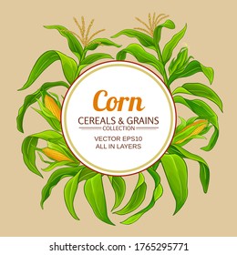 corn vector frame on color background