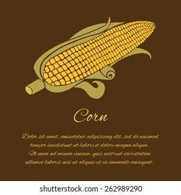 Corn vector greeting card isolated on the dark background