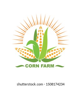 corn vector icon illustration design template