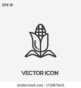 Corn vector icon illustration. Ui/Ux. Premium quality.