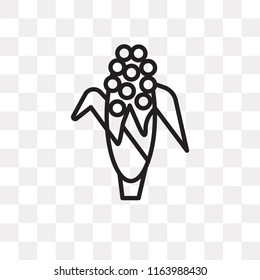 Corn vector icon isolated on transparent background, Corn logo concept