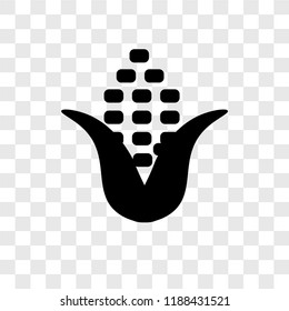 Corn vector icon isolated on transparent background, Corn transparency logo concept