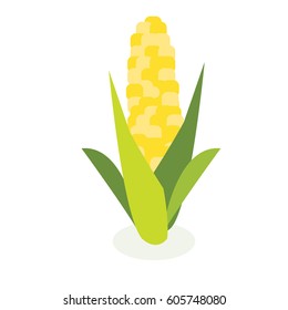corn vector icon symbol in flat isometric design on color background
