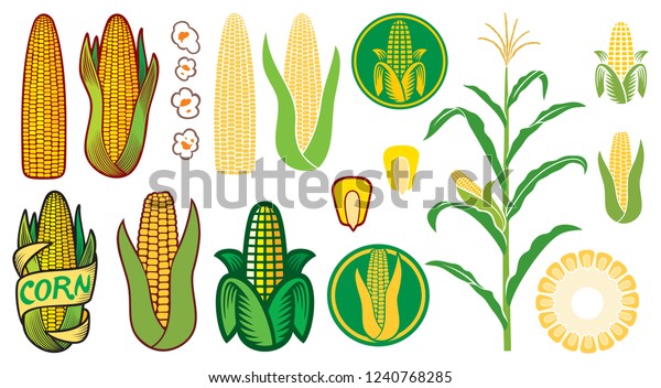 corn vector icons set (grain or seed, stalk,\
popcorn, corncob)